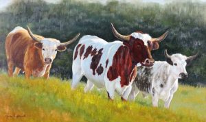 Judie Popplewell: LONG TALL TEXANS