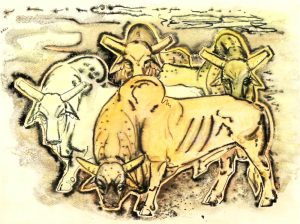 Illingworth Holey (Buck) Kerr: BRAHMA BULLS