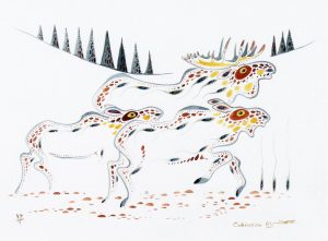 Eddy Cobiness: MOOSE