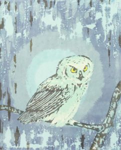 Annora Brown: OWL