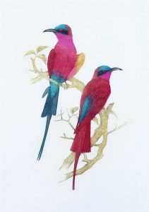 Martin W. Woodcock: CARMINE BEE-EATERS