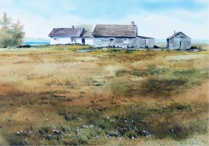 Keith Thomson: SUMMER GRASS