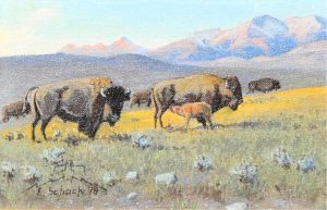 Elmer Schock: BISON