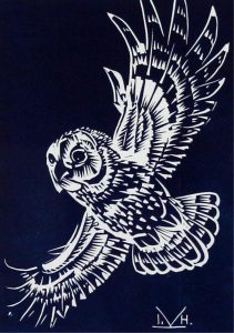 Illingworth Holey (Buck) Kerr: NIGHT RAIDER