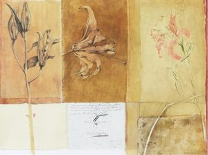 Susan Wood: LILY FRAGMENTS