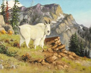 Elmer Schock: GOAT   |  ELK IN RIVER