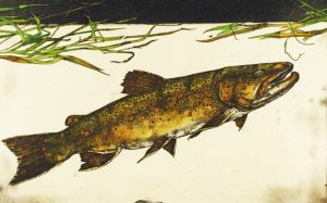 Jack Lee Cowin: “BROWN” (WESTERN TROUT SERIES)