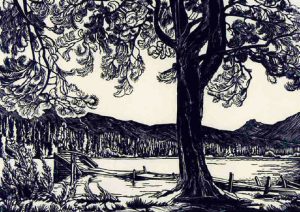 Margaret Shelton: PINE ON LUCERNE LAKE