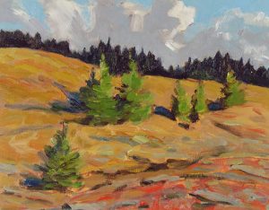 John Davenall Turner: THE KEYSTONE VALLEY