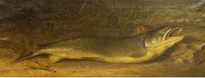 Thomas Mower Martin: UNTITLED (TROUT)