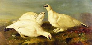 John Christopher Bell: PTARMIGAN