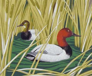 Alfred Joseph Casson: UNTITLED (DUCKS)