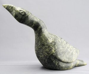 Aqjangajuk Shaa: LOON