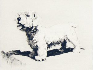 Cecil Charles Windsor Aldin: UNTITLED; WAITING TO BE WALKED