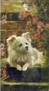 British School: UNTITLED; WHITE POMERANIAN RESTING ON BRICK STEPS  |  THREE DOGS IN A KENNEL