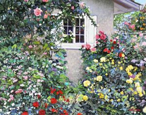 John H. Burrow: SIDE YARD ROSES