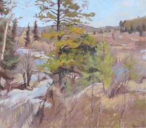 Frank Vervoort: BRAGG CREEK, LAST SNOW