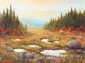 Stephen Hynes: CANYON CAMPGROUND AREA, KANANASKIS