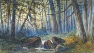 Frederick Arthur Verner: WOODLAND STREAM