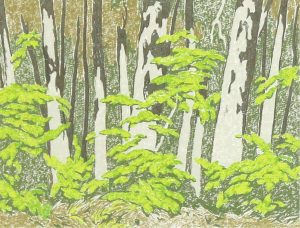 Alfred Joseph Casson: FOREST EDGE