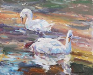 Fred Cameron: REFLECTIONS (SWANS)