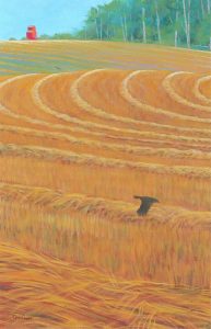 Chris MacClure: CROW FLIGHT