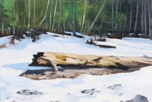 Karl E. Wood: DRIFTWOOD – CHILLIWACK LAKE