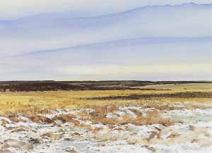 Harry Savage: CLOUD ARCH