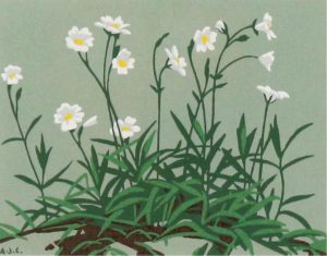 Alfred Joseph Casson: WHITE WILDFLOWERS