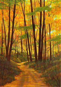 Chris MacClure: WALK IN THE WOODS