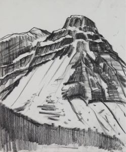 David Pugh: ICEFIELDS NO. 5