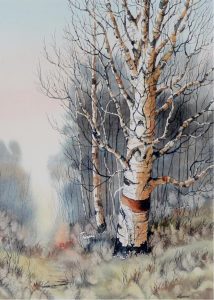 Earl Cummins: BIRCH TREES