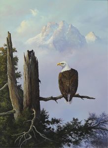 Milton Achtimichuk: BALD EAGLE