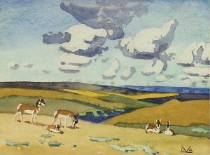 Illingworth Holey (Buck) Kerr: PRONGHORN DOES AND YOUNG