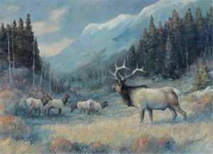 Robert A. Wyatt: BULL ELK AND COWS