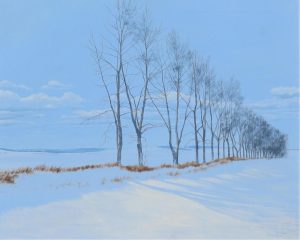 Ted Raftery: THE WINDBREAK