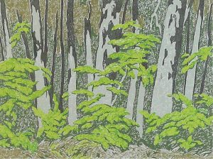 Alfred Joseph Casson: FOREST EDGE