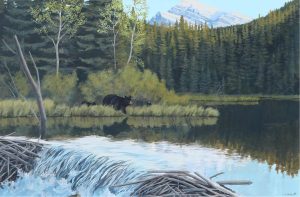 C. D. (Dave) Hiebert: SPRING RUN OFF