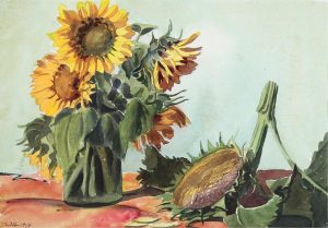 Margaret Dorothy Shelton: STILL LIFE, SUNFLOWERS