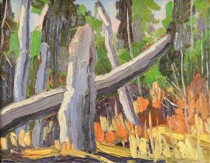 Arthur George Lloy: WOODS SKETCH WITH OLD STUMP (NINE MILE RIVER AREA, N.S.)