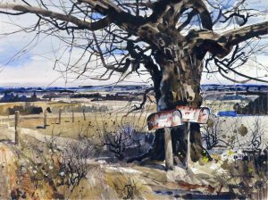 Tinyan (Chan): OLD TREE & MAILBOXES