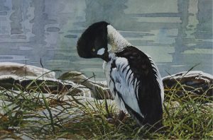 Mel Heath: GOLDEN EYE