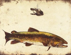 Jack Lee Cowin: BULL OF THE BOW (WESTERN TROUT SERIES)