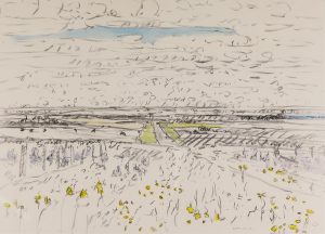 Dorothy Elsie Knowles: STRAWBERRY VALLEY