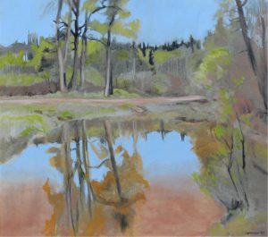 Frank Vervoort: REFLECTIONS IN A POND