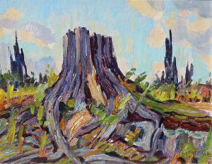 Peter Clapham Sheppard: OLD STUMP, BACKWOODS COUNTRY