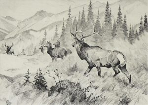 Carl Clemens Moritz Rungius: CHALLENGED