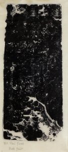 Sybil Andrews: B.C RAIN FOREST