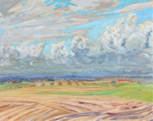 Robert F. M. McInnis: STORM FRONT