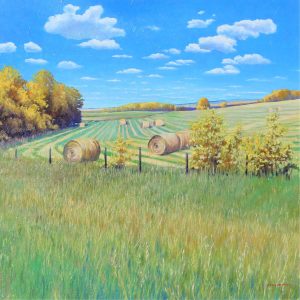 Rick Berg: ANOTHER ALBERTA SKY